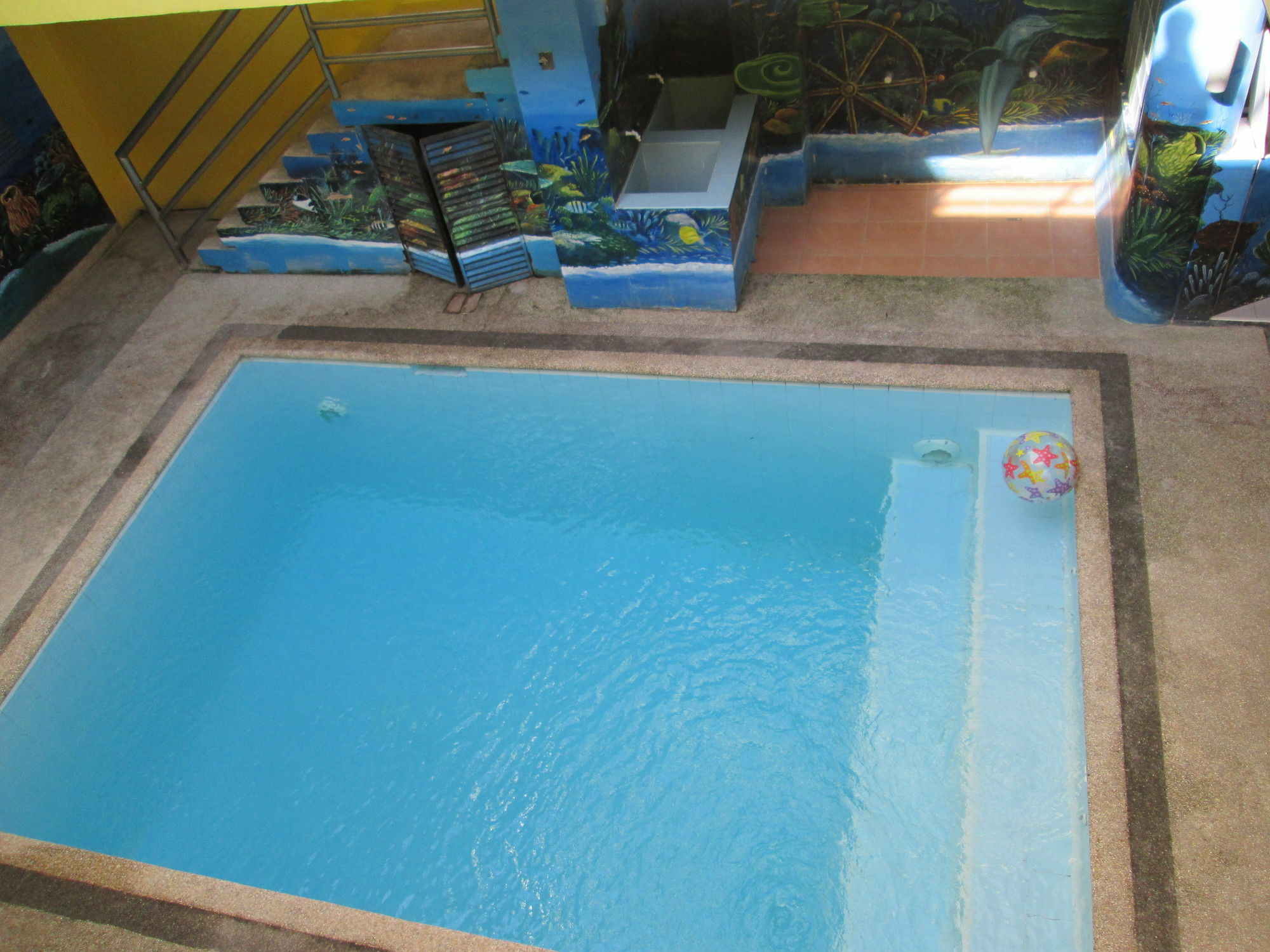 Baywatch Dive Resort Đảo Đảo Panglao Ngoại thất bức ảnh